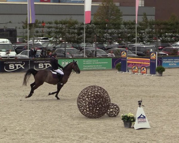 Belgisch Kampioenschap 4-5 Jarigen Paarden