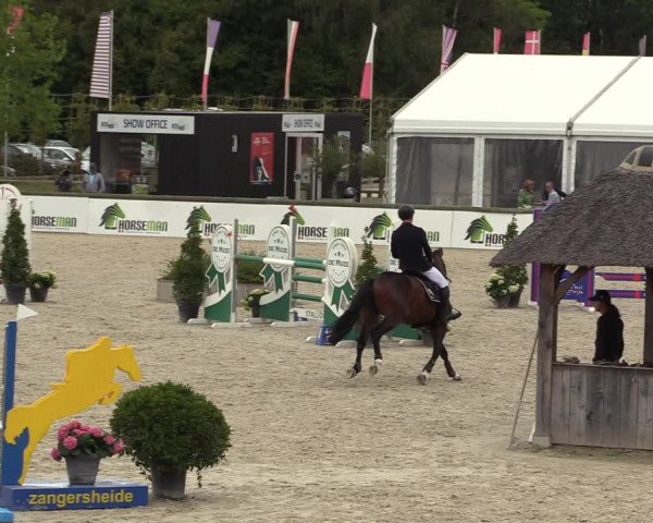 Belgisch Kampioenschap 4-5 Jarigen Paarden