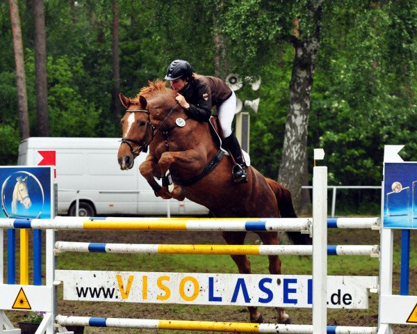 broodmare Padelli (Saxony-Anhaltiner, 2005, from Padarco van het Hertsveld)