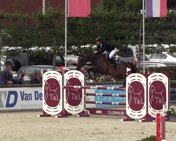 Belgisch Kampioenschap 4-5 Jarigen Paarden