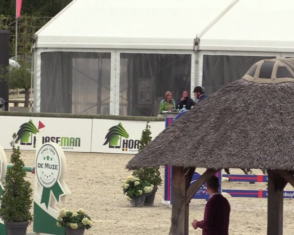 Belgisch Kampioenschap 4-5 Jarigen Paarden