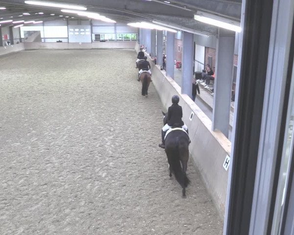 Reitturnier Ahaus 2020