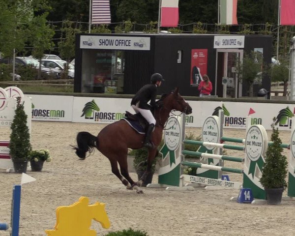 Belgisch Kampioenschap 4-5 Jarigen Paarden