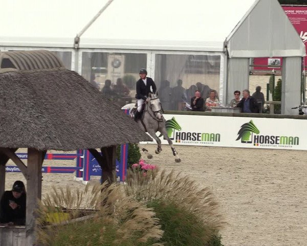 Belgisch Kampioenschap 4-5 Jarigen Paarden