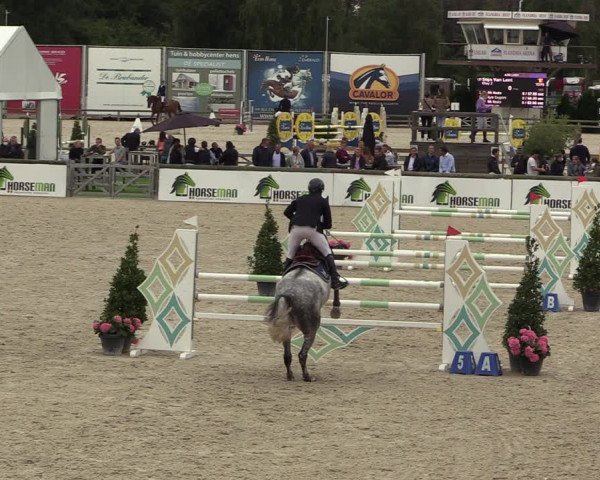 Belgisch Kampioenschap 4-5 Jarigen Paarden