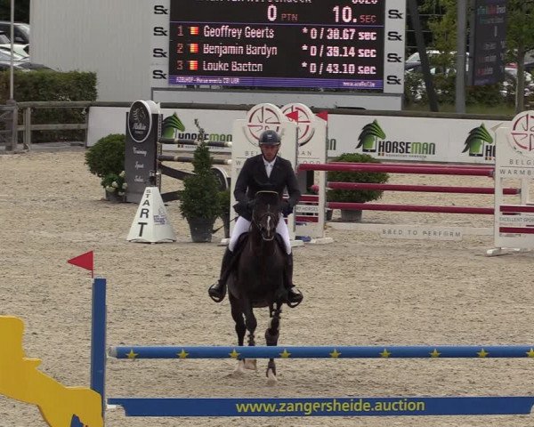 Belgisch Kampioenschap 4-5 Jarigen Paarden