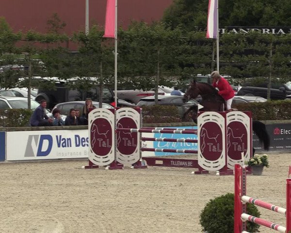 Belgisch Kampioenschap 4-5 Jarigen Paarden