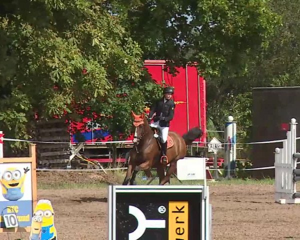 Reitturnier Demantsfürth/Mfr. 2020