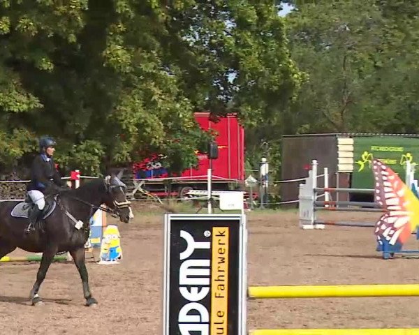 Reitturnier Demantsfürth/Mfr. 2020