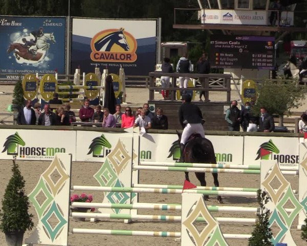 Belgisch Kampioenschap 4-5 Jarigen Paarden
