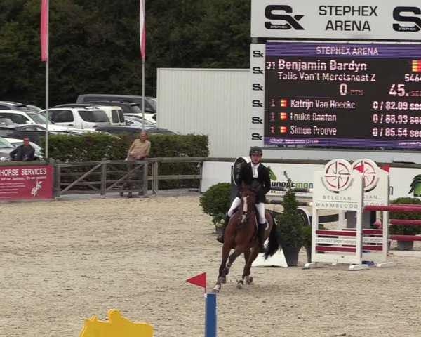 Belgisch Kampioenschap 4-5 Jarigen Paarden