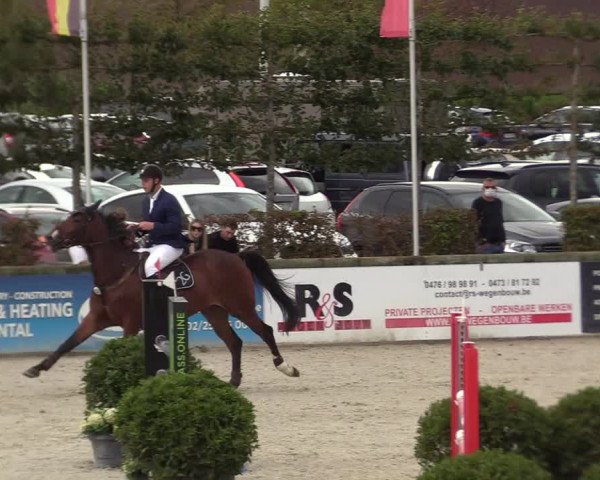 Belgisch Kampioenschap 4-5 Jarigen Paarden