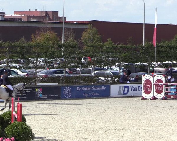 Belgisch Kampioenschap 4-5 Jarigen Paarden