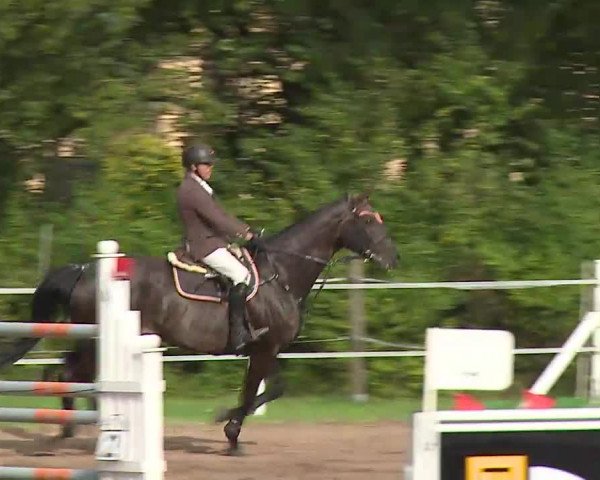 Reitturnier Demantsfürth/Mfr. 2020