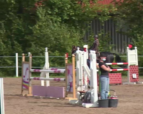 Reitturnier Demantsfürth/Mfr. 2020