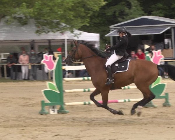 Reitturnier Heiligenwald 2020