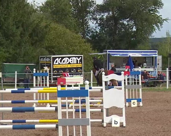 Reitturnier Demantsfürth/Mfr. 2020