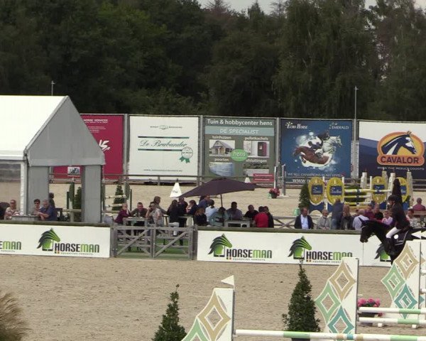 Belgisch Kampioenschap 4-5 Jarigen Paarden