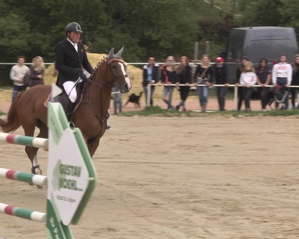 Reitturnier Heiligenwald 2020