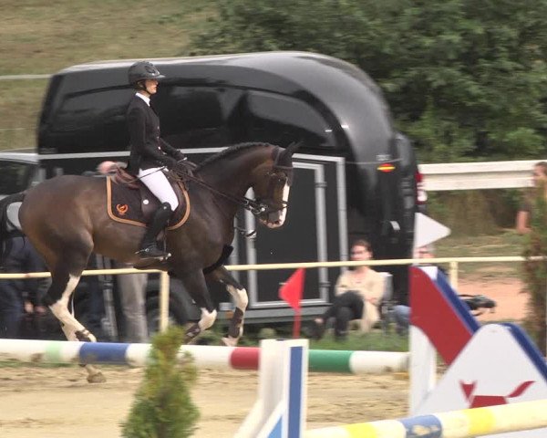 Reitturnier Heiligenwald 2020