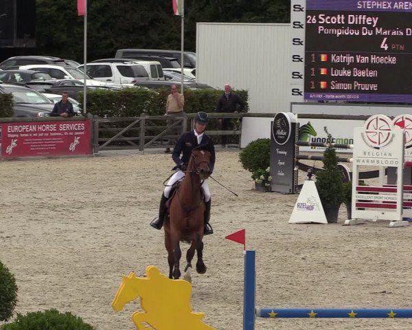 Belgisch Kampioenschap 4-5 Jarigen Paarden