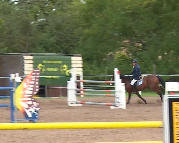 Reitturnier Demantsfürth/Mfr. 2020