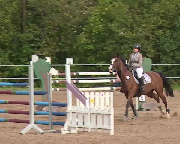 Reitturnier Demantsfürth/Mfr. 2020