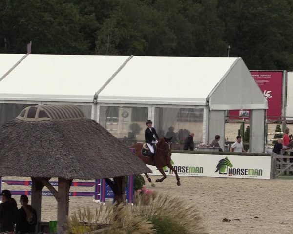 Belgisch Kampioenschap 4-5 Jarigen Paarden