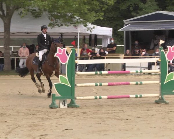 Reitturnier Heiligenwald 2020