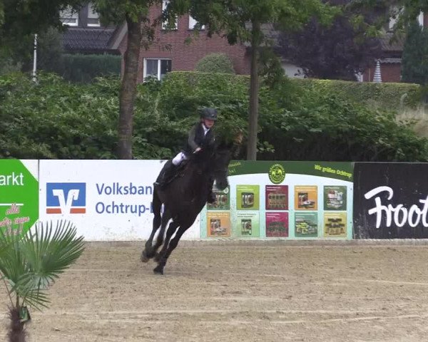 Reitturnier Ochtrup 2020
