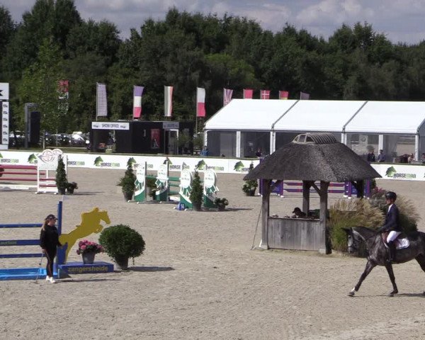 Belgisch Kampioenschap 4-5 Jarigen Paarden