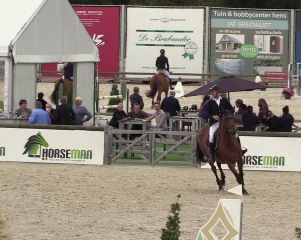 Belgisch Kampioenschap 4-5 Jarigen Paarden