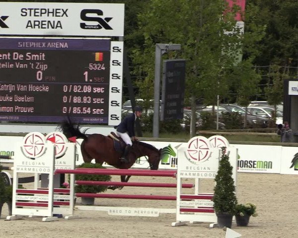 Belgisch Kampioenschap 4-5 Jarigen Paarden