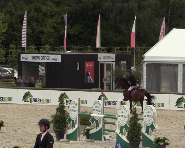 Belgisch Kampioenschap 4-5 Jarigen Paarden