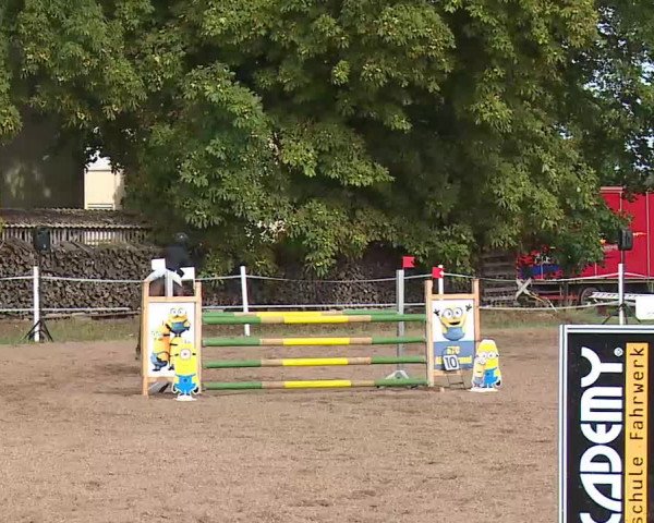 Reitturnier Demantsfürth/Mfr. 2020