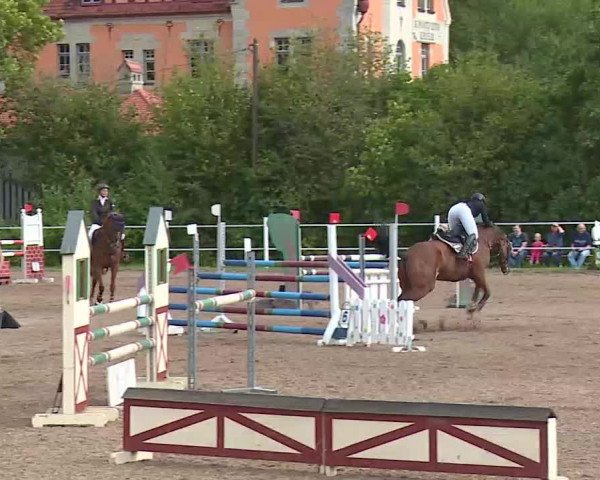 Reitturnier Demantsfürth/Mfr. 2020