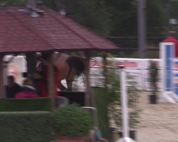 Reitturnier Ochtrup 2020