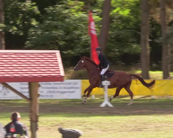 Reitturnier Pasewalk 2020