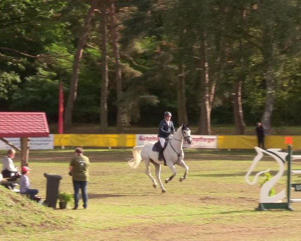 Reitturnier Pasewalk 2020