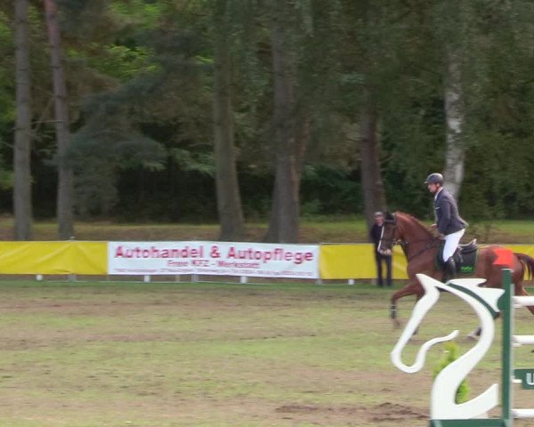 Reitturnier Pasewalk 2020