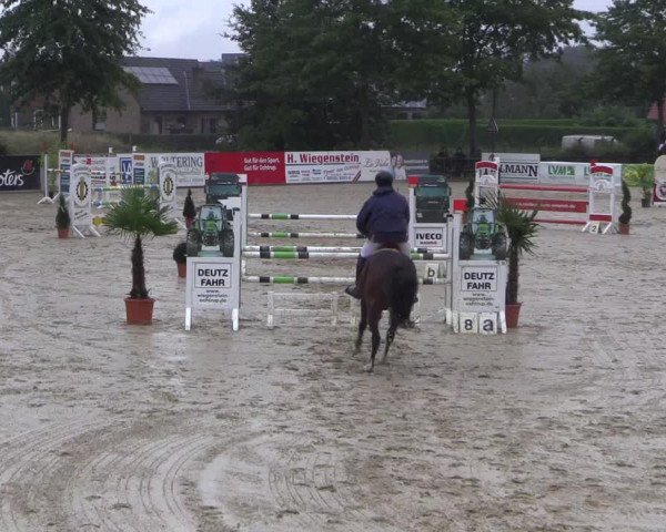 Reitturnier Ochtrup 2020