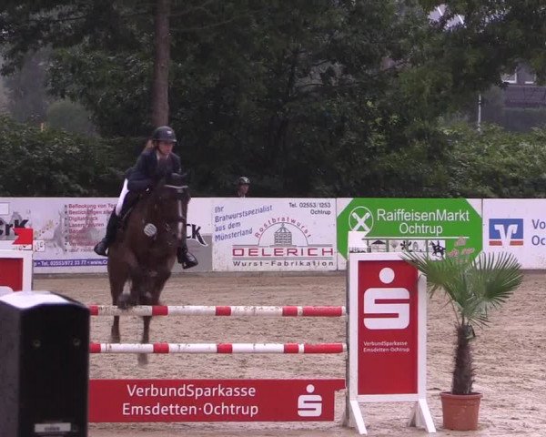 Reitturnier Ochtrup 2020