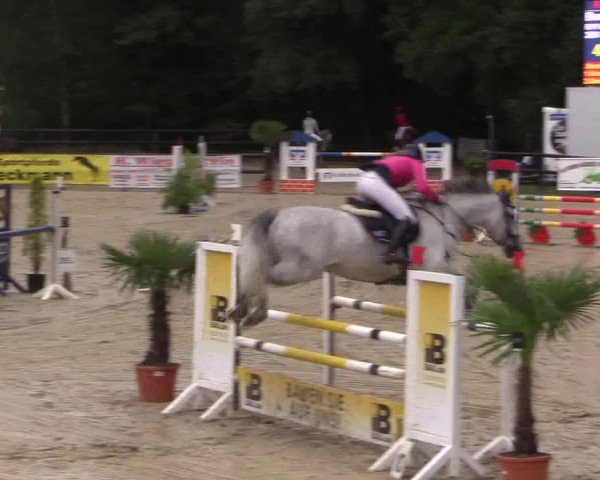 Reitturnier Ochtrup 2020