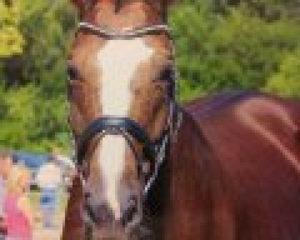 broodmare Favienne Rouge (Westphalian, 1997, from Faveur)
