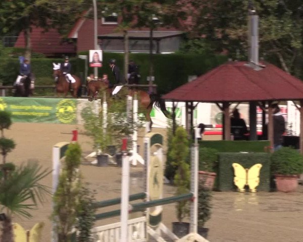 Reitturnier Ochtrup 2020