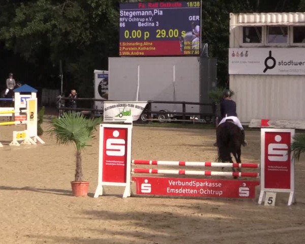 Reitturnier Ochtrup 2020