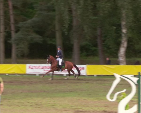 Reitturnier Pasewalk 2020
