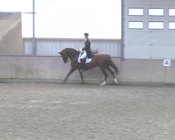 Reitturnier Ahaus 2020