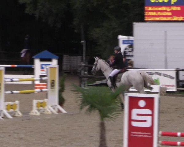 Reitturnier Ochtrup 2020