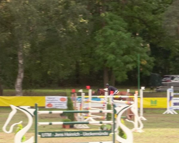 Reitturnier Pasewalk 2020